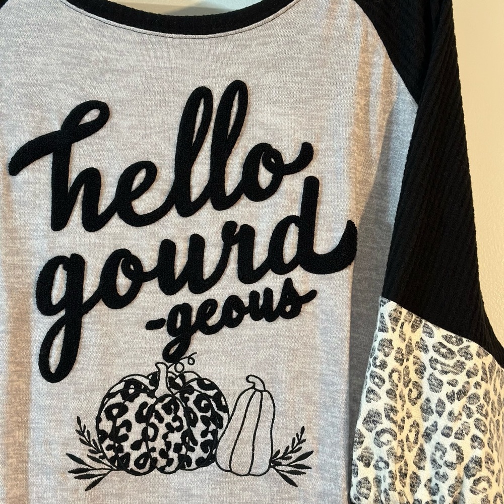 CATO Fall Top NWT “hello gourd-geous” raised lettering on front 22/24